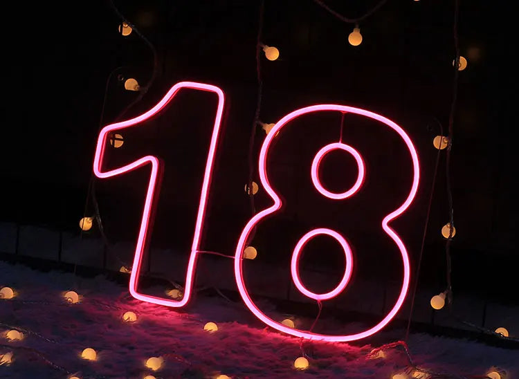 LED Neon Light Sign Number 18 Neon Wall Letters Lights Night Lamp for Room Holiday Party Decor Birthday Christmas Gift Signs