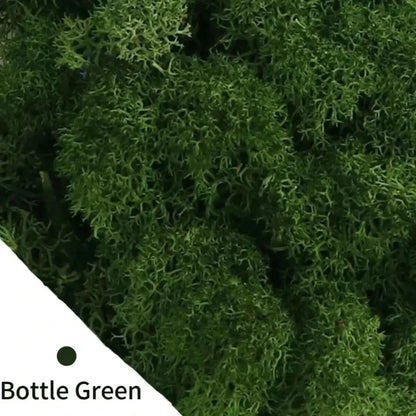 Artificial Green Plants Eternal Life Moss DIY Crafts Grass Garden Home Room Decor Mini Landscape Fake Grass 20/40/100g
