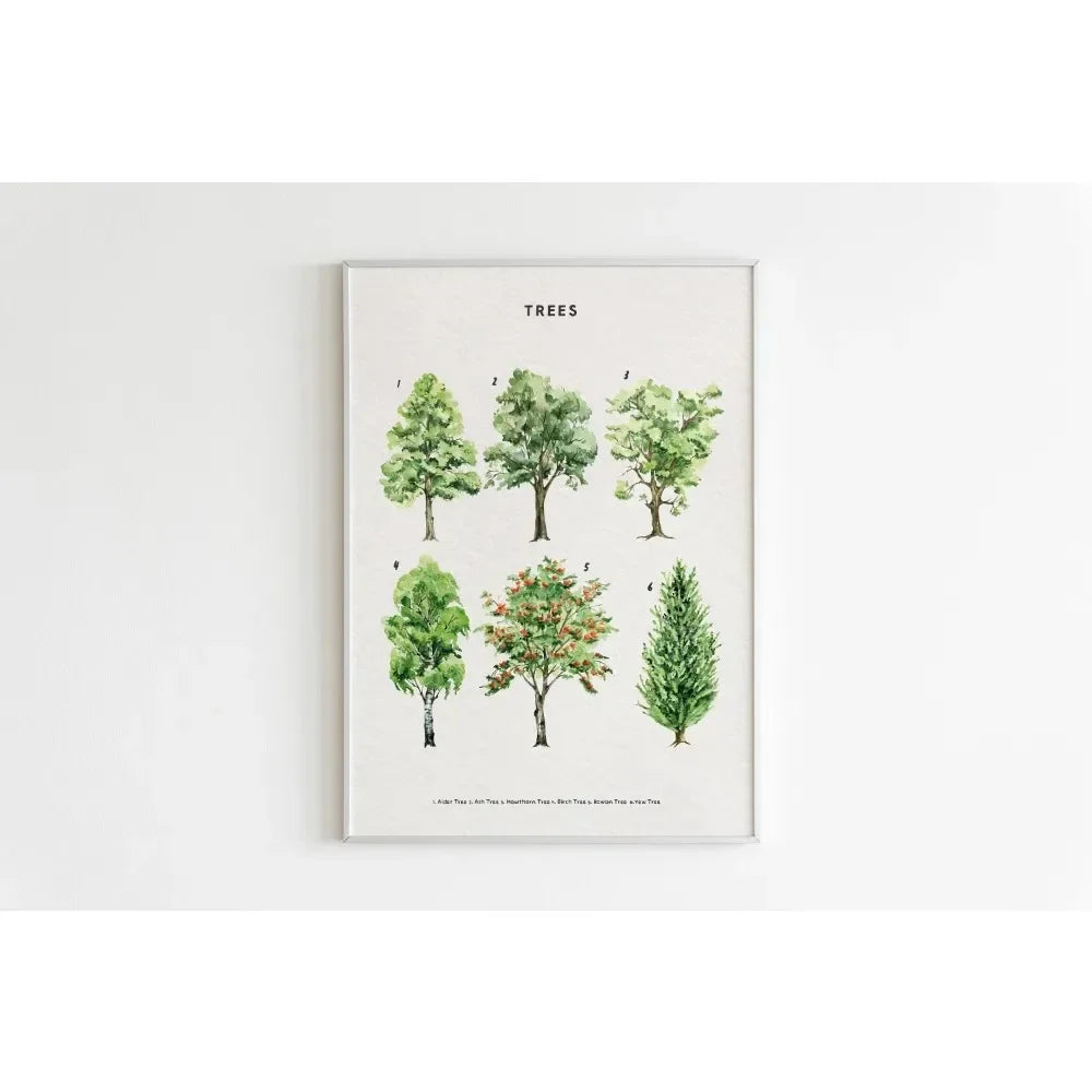 Canvas Painting Wall Art Educational Illustration Prints Poster Animals Plants Insect Fruits Chart Nursery Kids Room Home Decor