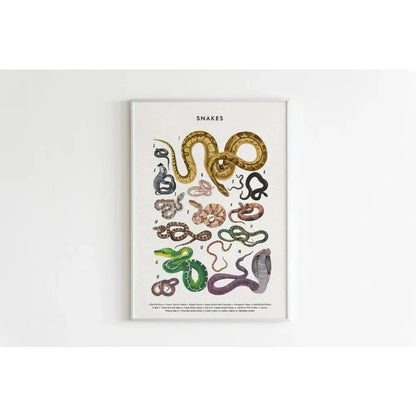 Canvas Painting Wall Art Educational Illustration Prints Poster Animals Plants Insect Fruits Chart Nursery Kids Room Home Decor
