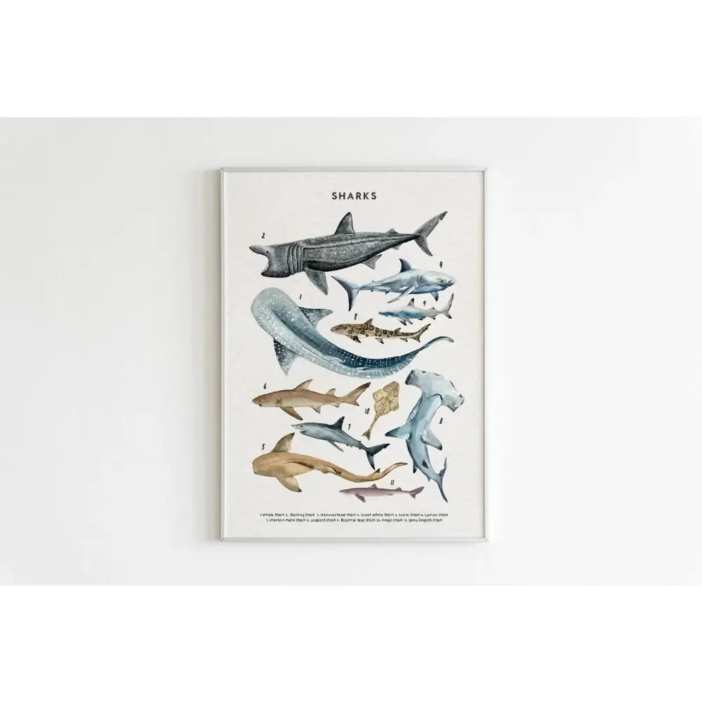 Canvas Painting Wall Art Educational Illustration Prints Poster Animals Plants Insect Fruits Chart Nursery Kids Room Home Decor