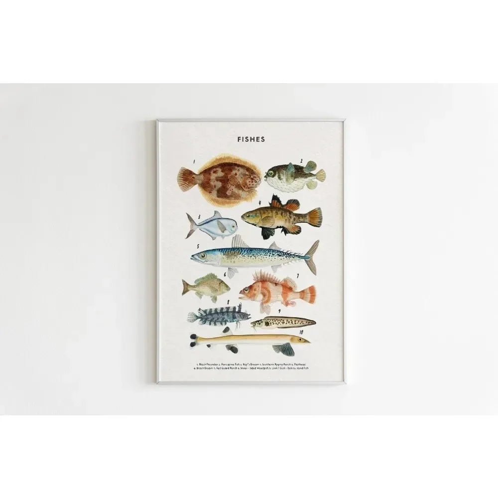 Canvas Painting Wall Art Educational Illustration Prints Poster Animals Plants Insect Fruits Chart Nursery Kids Room Home Decor