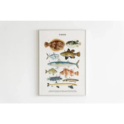 Canvas Painting Wall Art Educational Illustration Prints Poster Animals Plants Insect Fruits Chart Nursery Kids Room Home Decor