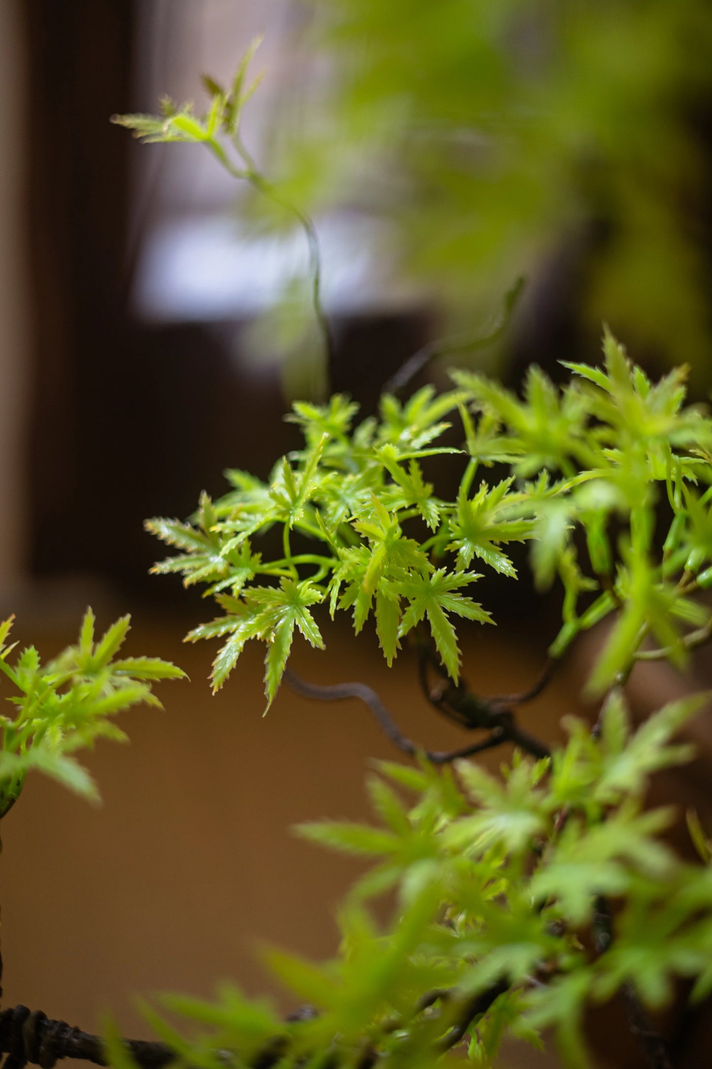 Artificial Green Plants To Welcome Guests Pine Maple Leaves Fake Flower New Chinese Style Simulated  Bonsai Flower Decorations