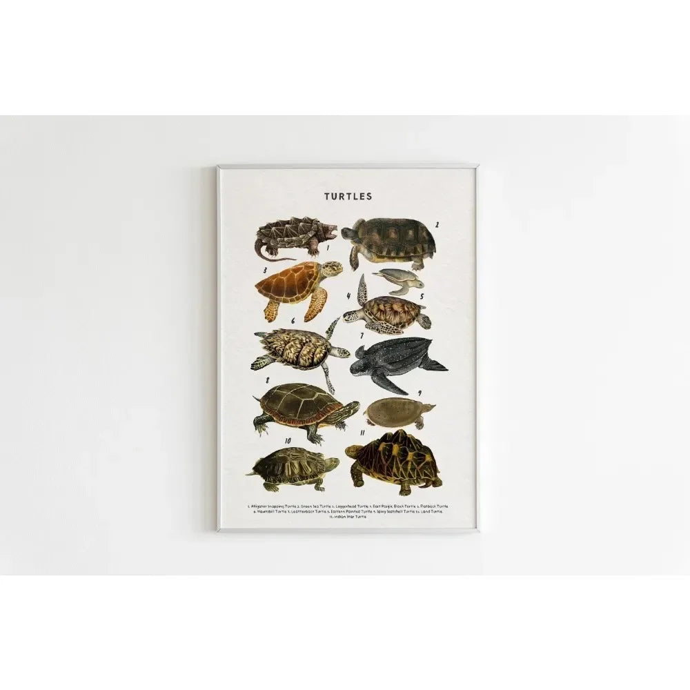 Canvas Painting Wall Art Educational Illustration Prints Poster Animals Plants Insect Fruits Chart Nursery Kids Room Home Decor