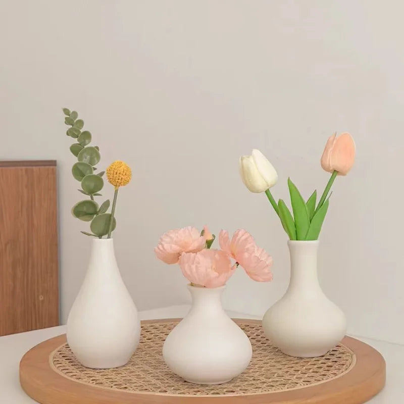 5-piece Set of Simple Ceramic Vases, Fresh Small Vases, Desktop Decorations, Simple Porch, TV Cabinet, Home Crafts