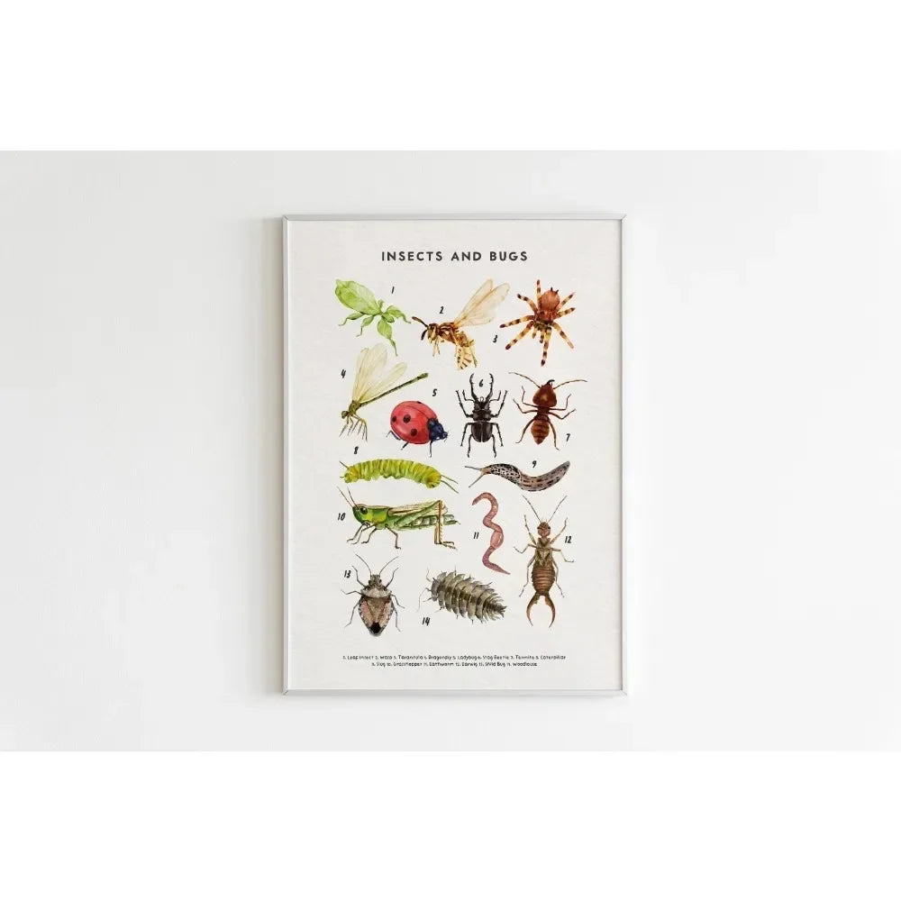 Canvas Painting Wall Art Educational Illustration Prints Poster Animals Plants Insect Fruits Chart Nursery Kids Room Home Decor