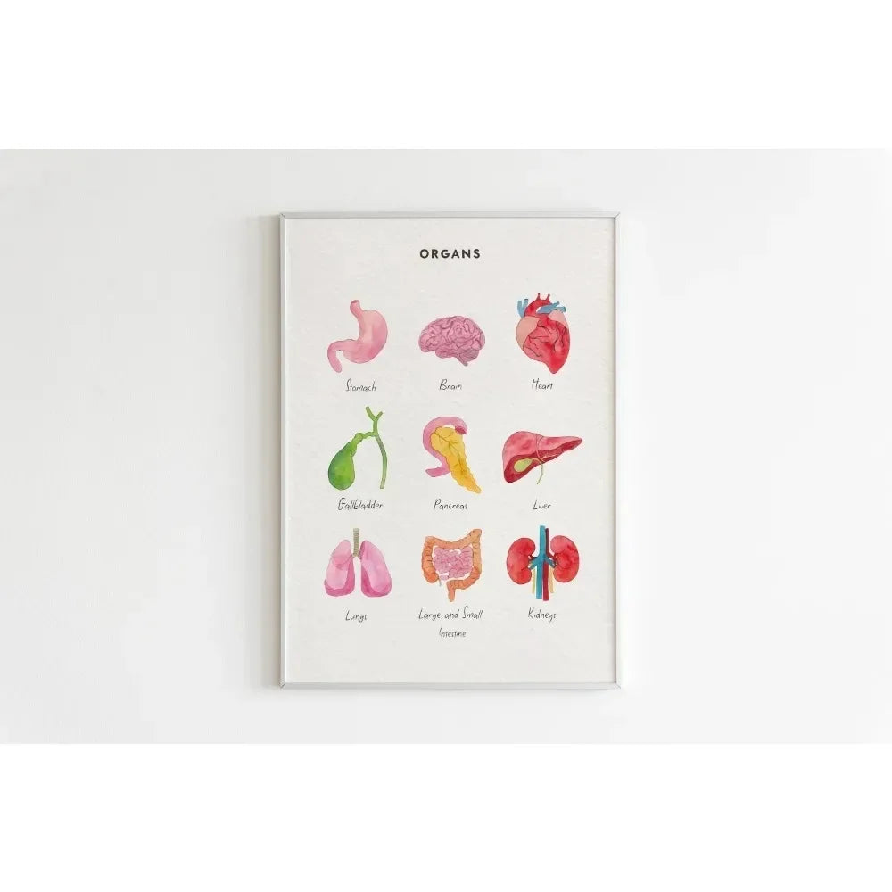 Canvas Painting Wall Art Educational Illustration Prints Poster Animals Plants Insect Fruits Chart Nursery Kids Room Home Decor