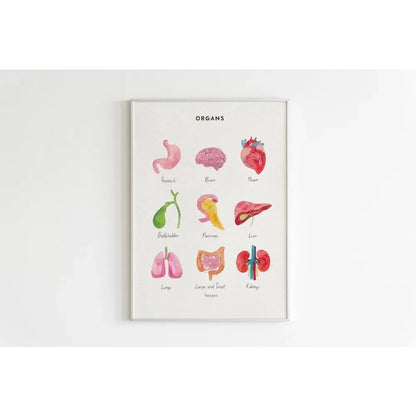 Canvas Painting Wall Art Educational Illustration Prints Poster Animals Plants Insect Fruits Chart Nursery Kids Room Home Decor
