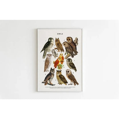 Canvas Painting Wall Art Educational Illustration Prints Poster Animals Plants Insect Fruits Chart Nursery Kids Room Home Decor
