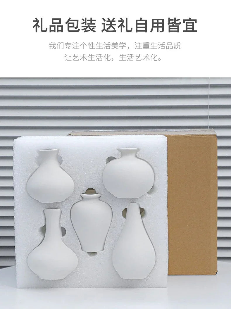 5-piece Set of Simple Ceramic Vases, Fresh Small Vases, Desktop Decorations, Simple Porch, TV Cabinet, Home Crafts