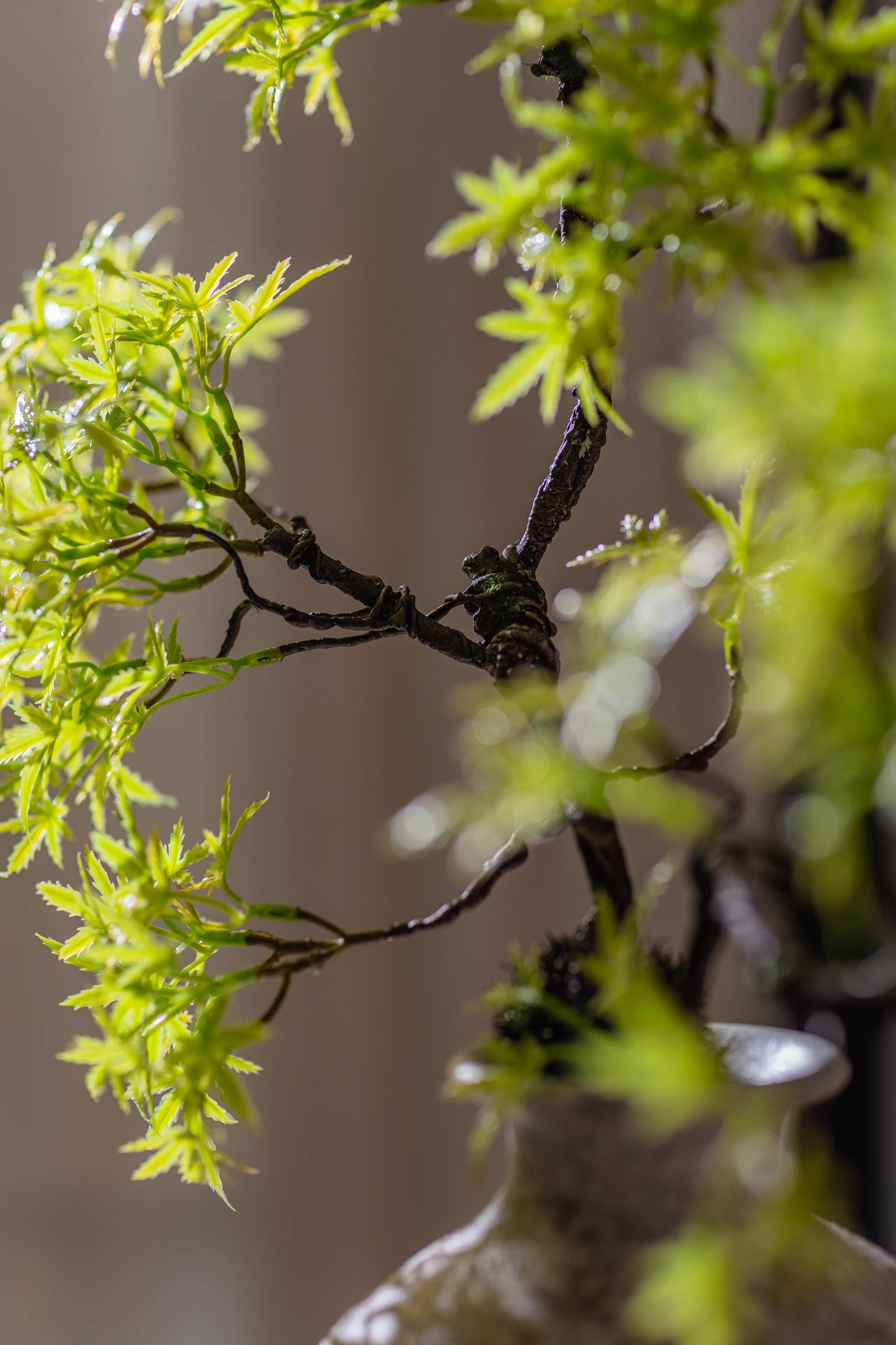 Artificial Green Plants To Welcome Guests Pine Maple Leaves Fake Flower New Chinese Style Simulated  Bonsai Flower Decorations