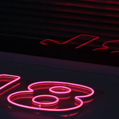 LED Neon Light Sign Number 18 Neon Wall Letters Lights Night Lamp for Room Holiday Party Decor Birthday Christmas Gift Signs