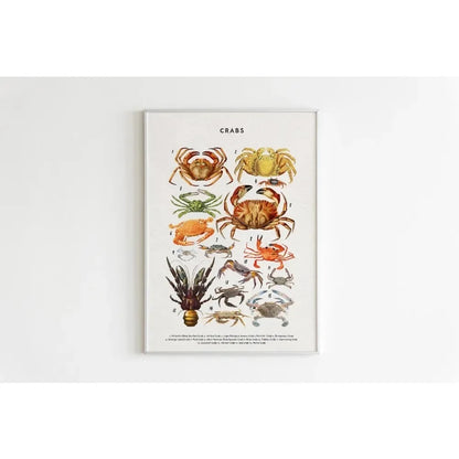 Canvas Painting Wall Art Educational Illustration Prints Poster Animals Plants Insect Fruits Chart Nursery Kids Room Home Decor