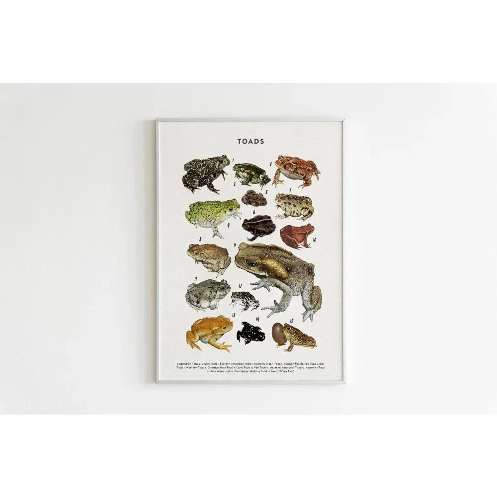Canvas Painting Wall Art Educational Illustration Prints Poster Animals Plants Insect Fruits Chart Nursery Kids Room Home Decor