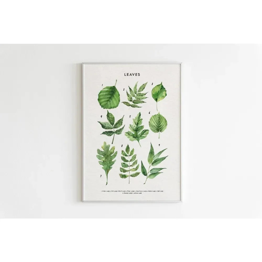 Canvas Painting Wall Art Educational Illustration Prints Poster Animals Plants Insect Fruits Chart Nursery Kids Room Home Decor