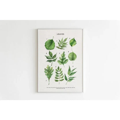Canvas Painting Wall Art Educational Illustration Prints Poster Animals Plants Insect Fruits Chart Nursery Kids Room Home Decor