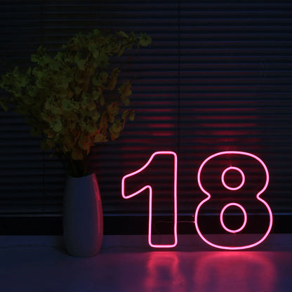 LED Neon Light Sign Number 18 Neon Wall Letters Lights Night Lamp for Room Holiday Party Decor Birthday Christmas Gift Signs