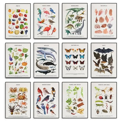Canvas Painting Wall Art Educational Illustration Prints Poster Animals Plants Insect Fruits Chart Nursery Kids Room Home Decor