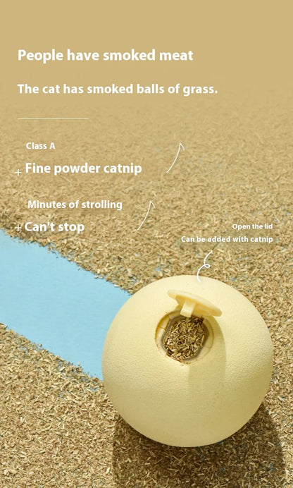 Interactive Ball Smart Cat Toys Plush Electric Catnip Training Toy Kitten Touch Sounding Pet Product Squeak Toy Ball