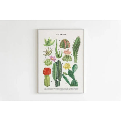 Canvas Painting Wall Art Educational Illustration Prints Poster Animals Plants Insect Fruits Chart Nursery Kids Room Home Decor